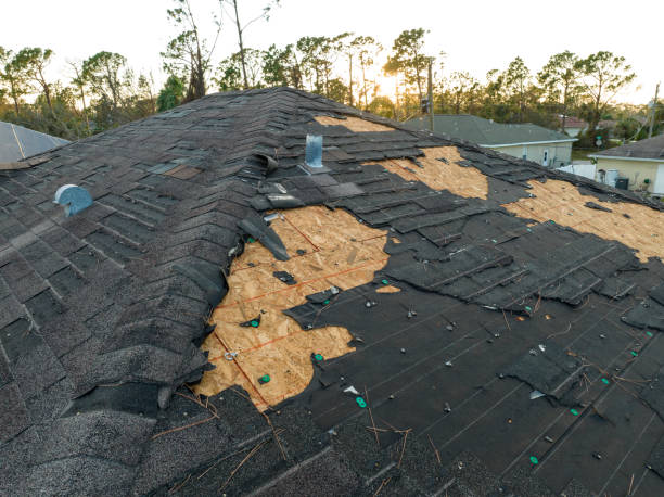 Best Roof Maintenance and Cleaning  in Oasis, CA